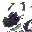 Evolution Image
